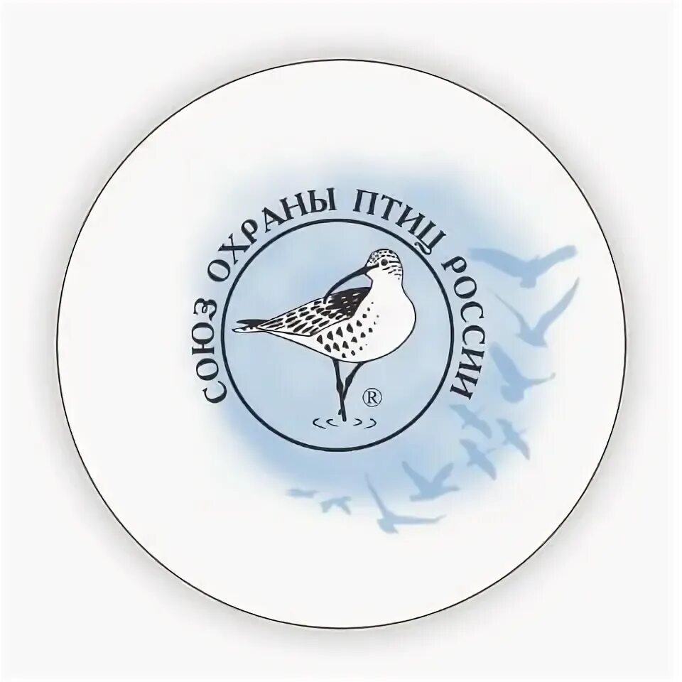 Листовка в защиту птиц. Охрана птиц для детей. Охраняйте птиц. Символ союза охраны птиц россии. Эмблема союза охраны птиц.
