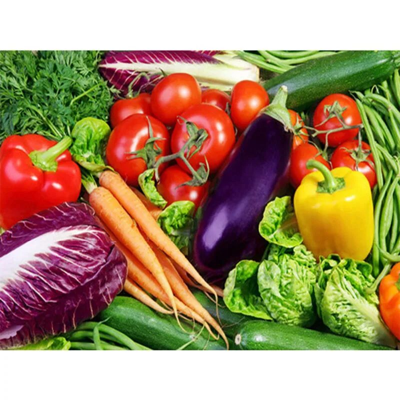 Цена фермерских овощей. Овощи. Фермерские овощи. Семена овощей. Свежие овощи и зелень.