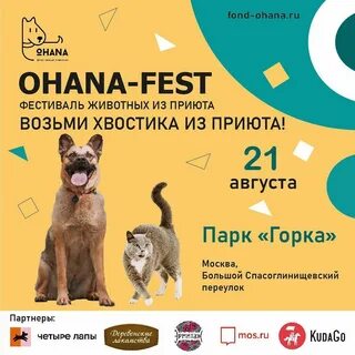 Фестиваль бездомных животных