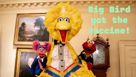 Big bird
