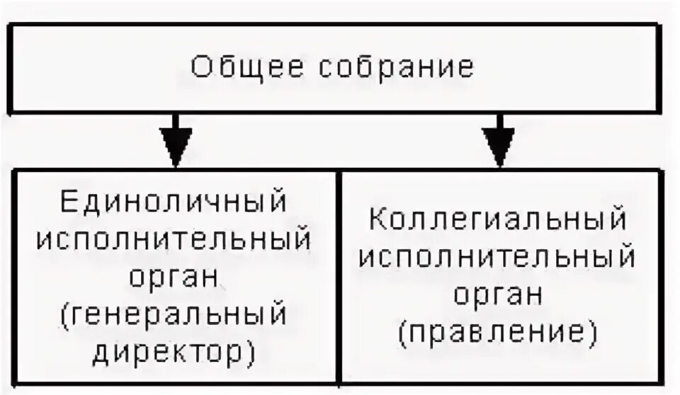 Высшим органом управления акционерным обществом является. Коллегиальный исполнительный орган правление. Коллегиальный исполнительный орган правление. Коллегиальный орган это. Коллегиальные выборные органы это.