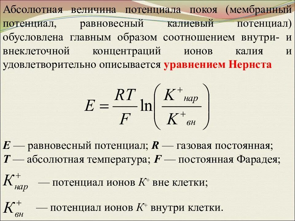 Потенциал какая буква. Формула мембранного потенциала Нернста. Величина мембранного потенциала. Величина потенциала покоя. Величина мембранного потенциала покоя.