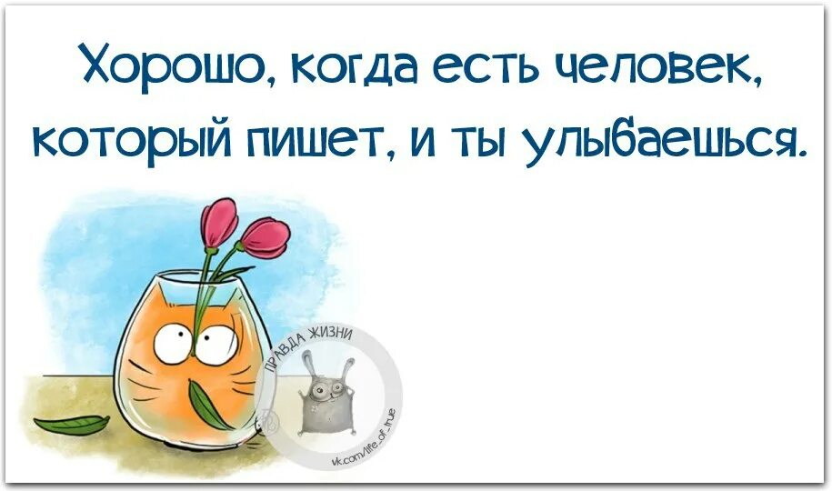 Хороший был день правда. Среда приколы. Цитаты про среду. Среда цитаты смешные. Цитаты про среду прикольные.