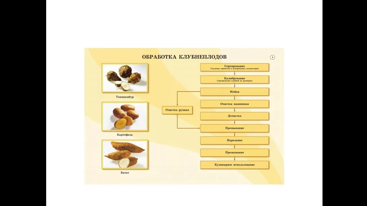 Нарезка овощей грибов. Технологическая схема обработки клубнеплодов. Технологическая схема обработки картофеля. Технологический процесс обработки клубнеплодов. Технологическая схема первичной обработки овощей.
