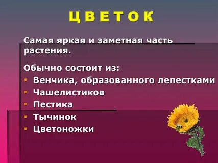 Самое заметное