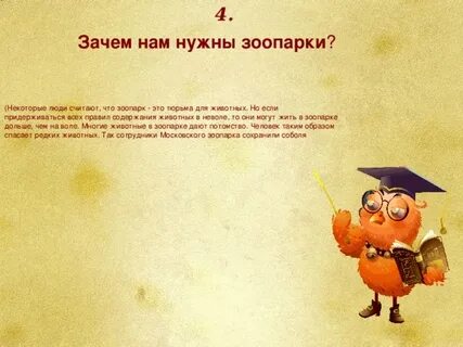 Зачем нужны животные в городе заметка