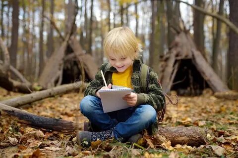 Приключения дети в лесу