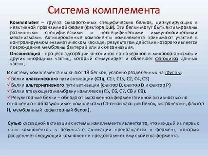 С3 компонент