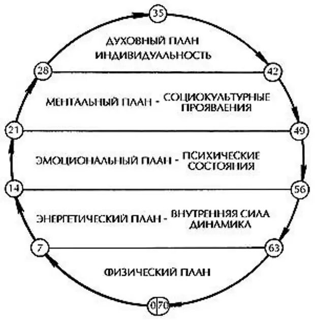 Жизненный цикл человека. Жизненный цикл жизни человека. Цикл человеческой жизни.
