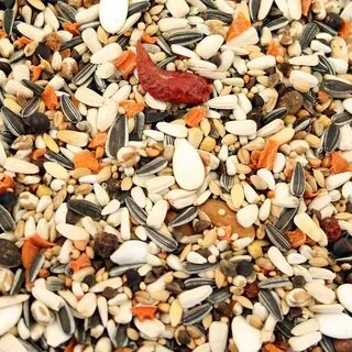 Safe seed