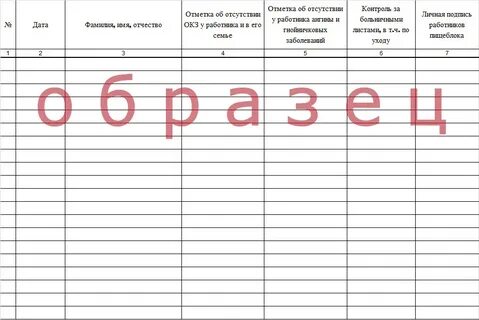 Журнал здоровья образец