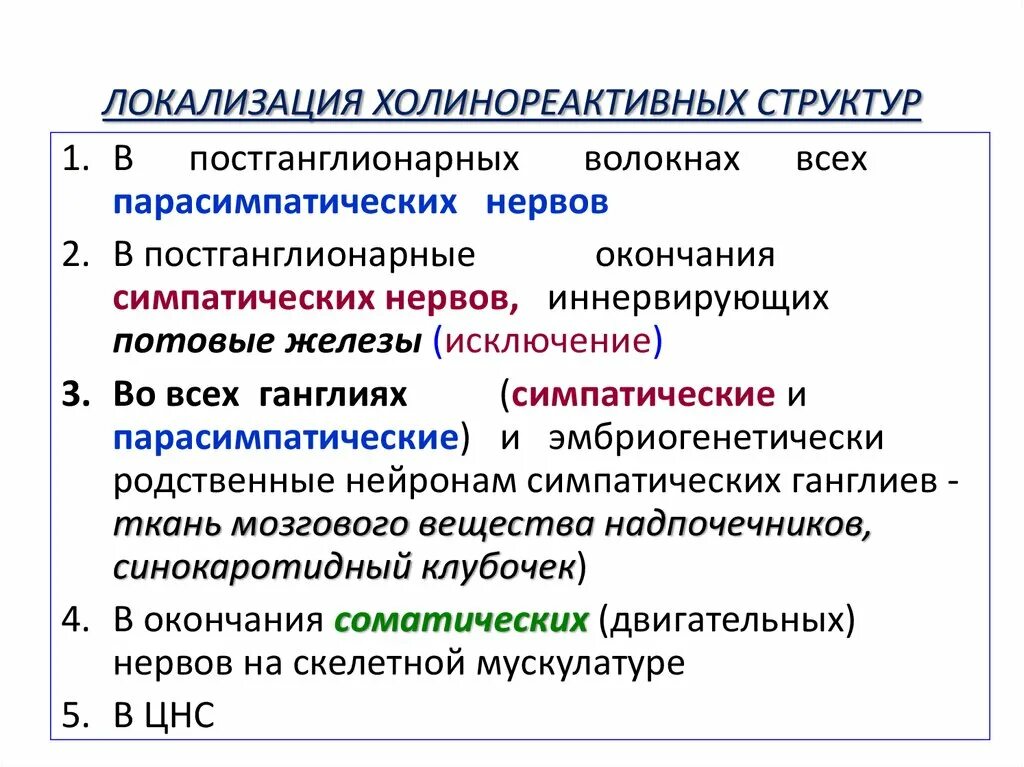 Локализация холинорецепторов. Холинореактивных структур. Н-холинореактивные структуры. Локализация н-холинореактивных структур. Топографии холинореактивных структур.