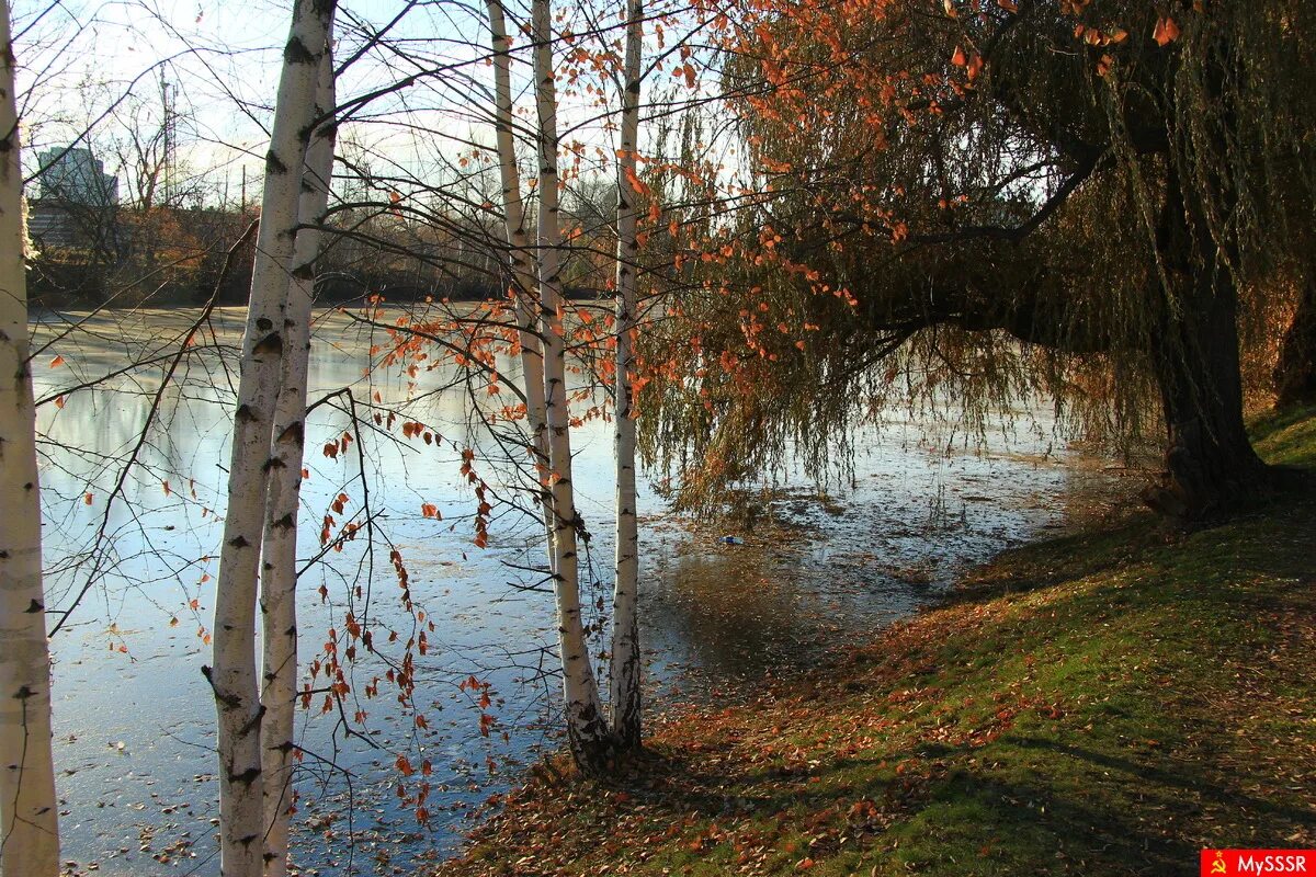 середина октября природа. ноябрь природа челябинск. осень октябрь. ноябрь месяц фото. сейчас ноябрь месяц.