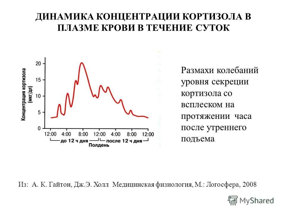 Норма кортизола утром