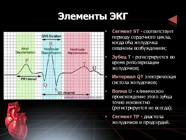 Экг процесс. Экг физиология зубцы интервалы сегменты. элементы нормальной экг. сегмент st на экг в норме. электрокардиограмма зубцы сегменты интервалы нормы.