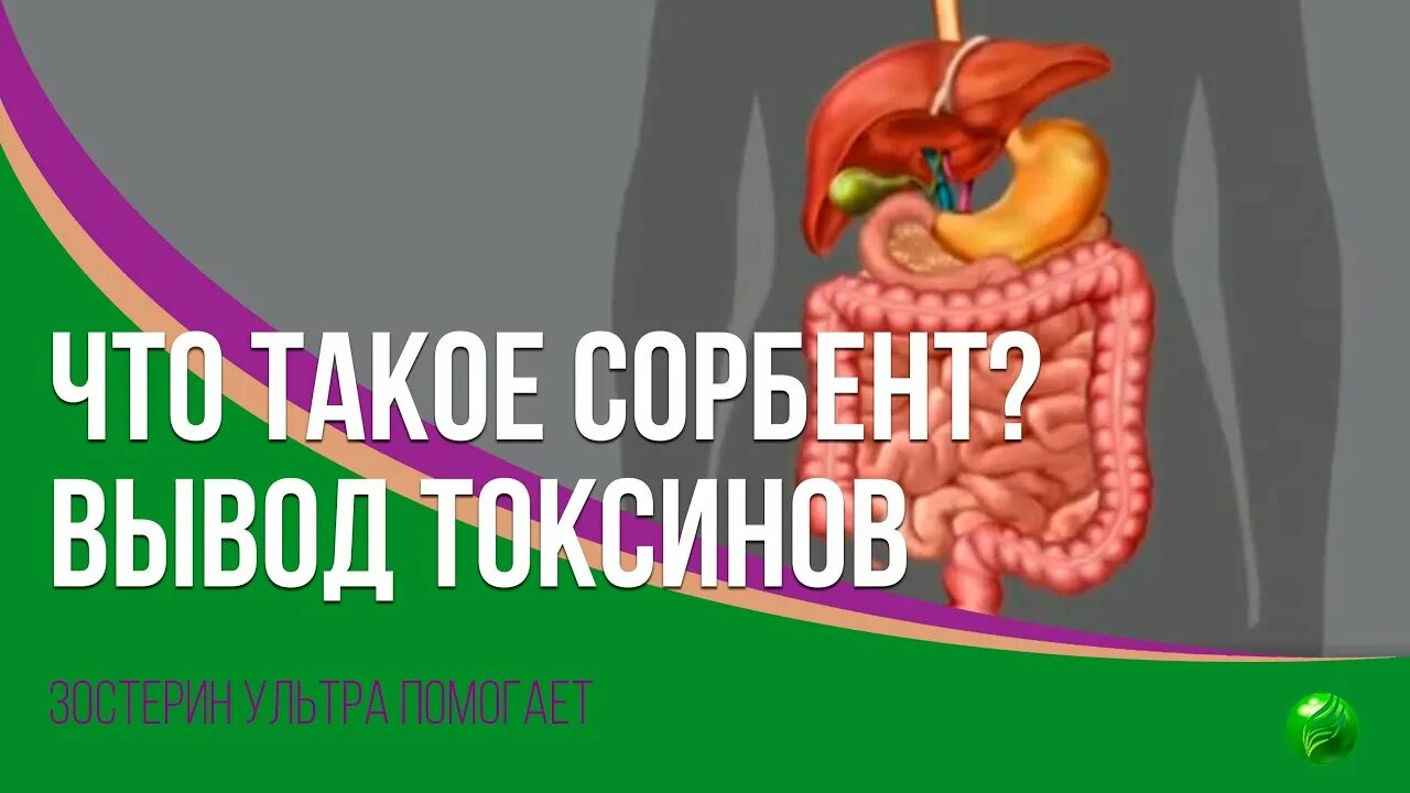 Вывод токсинов из организма. Общие вопросы хирургической инфекции. Выведение токсических веществ из организма. Вывод токсинов. Токсины в организме.