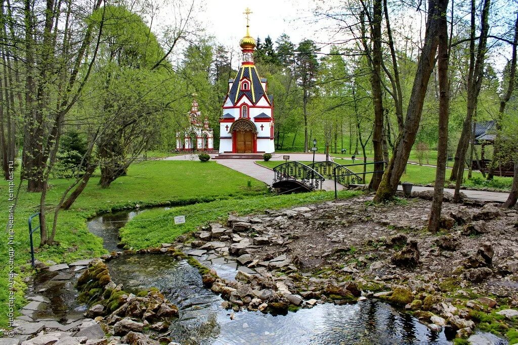 Талеж святой источник. Чехов Родник Талеж. Святой источник в Чеховском районе Талеж. Давидова пустынь Родник. Святой источник преподобного Давида Московской области.