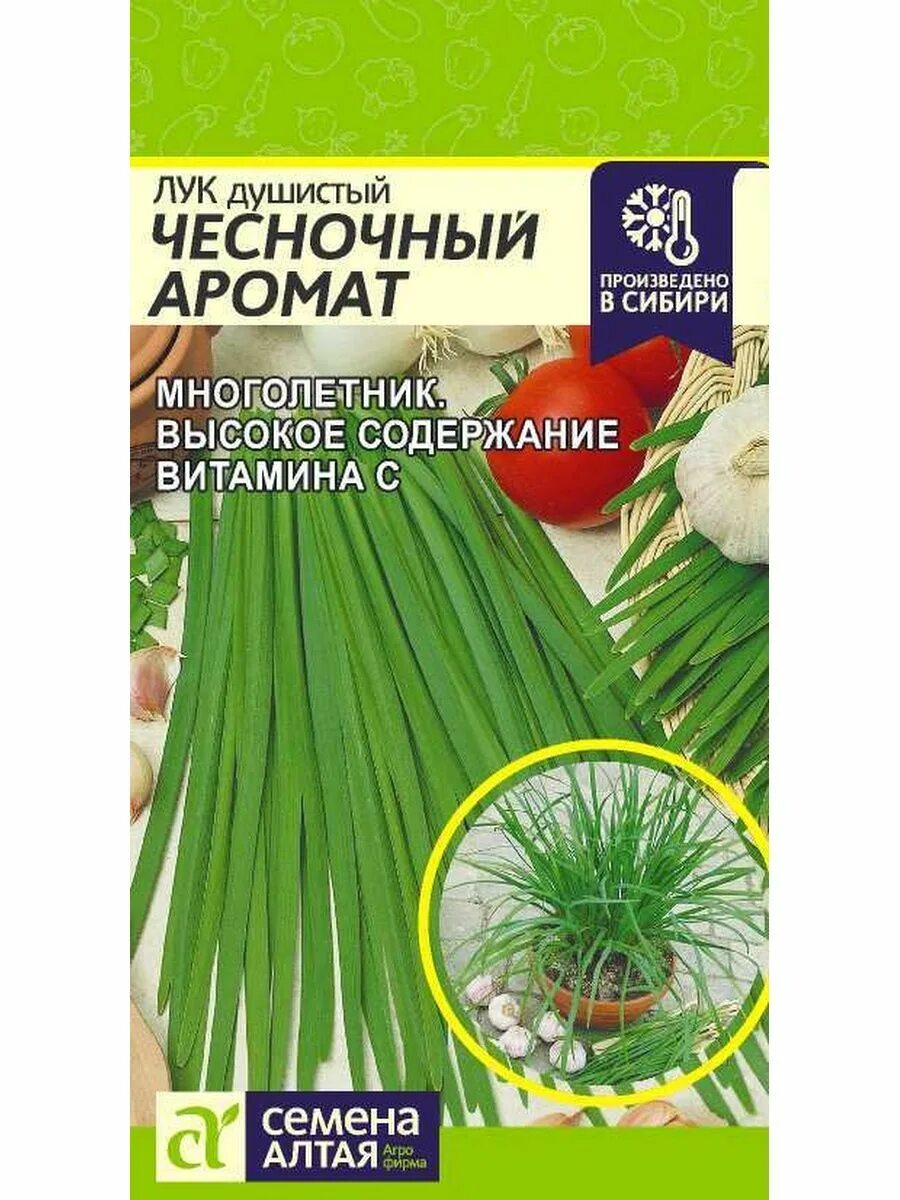 Лук душистый чесночный аромат семена Алтая. Лук душистый семена. Лук чесночный аромат. Лук душистый чеснок. Семена лук чеснок