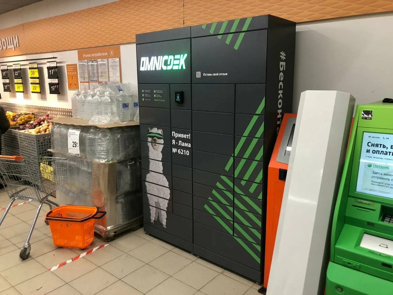 Выдача загранпаспортов часы работы. Паспортный стол ногинск. Прием документов загранпаспортов. Расписание выдачи паспортов. Режим работы выдачи загранпаспортов.