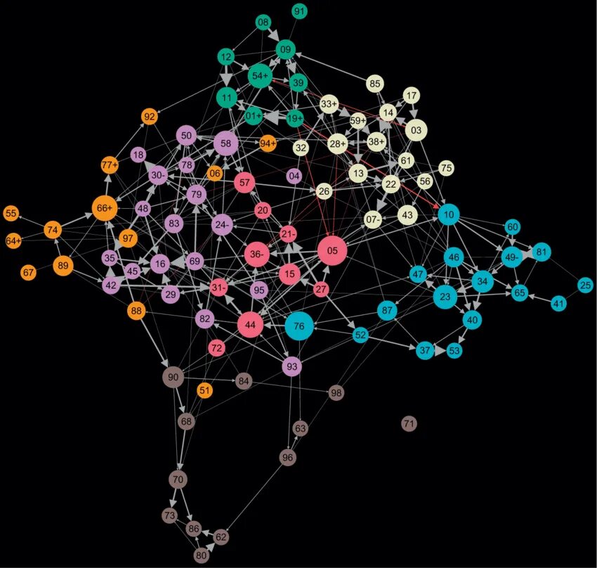 Топология визуализация. Network graph. Gephi эффект. Gephi Microbial. Last network