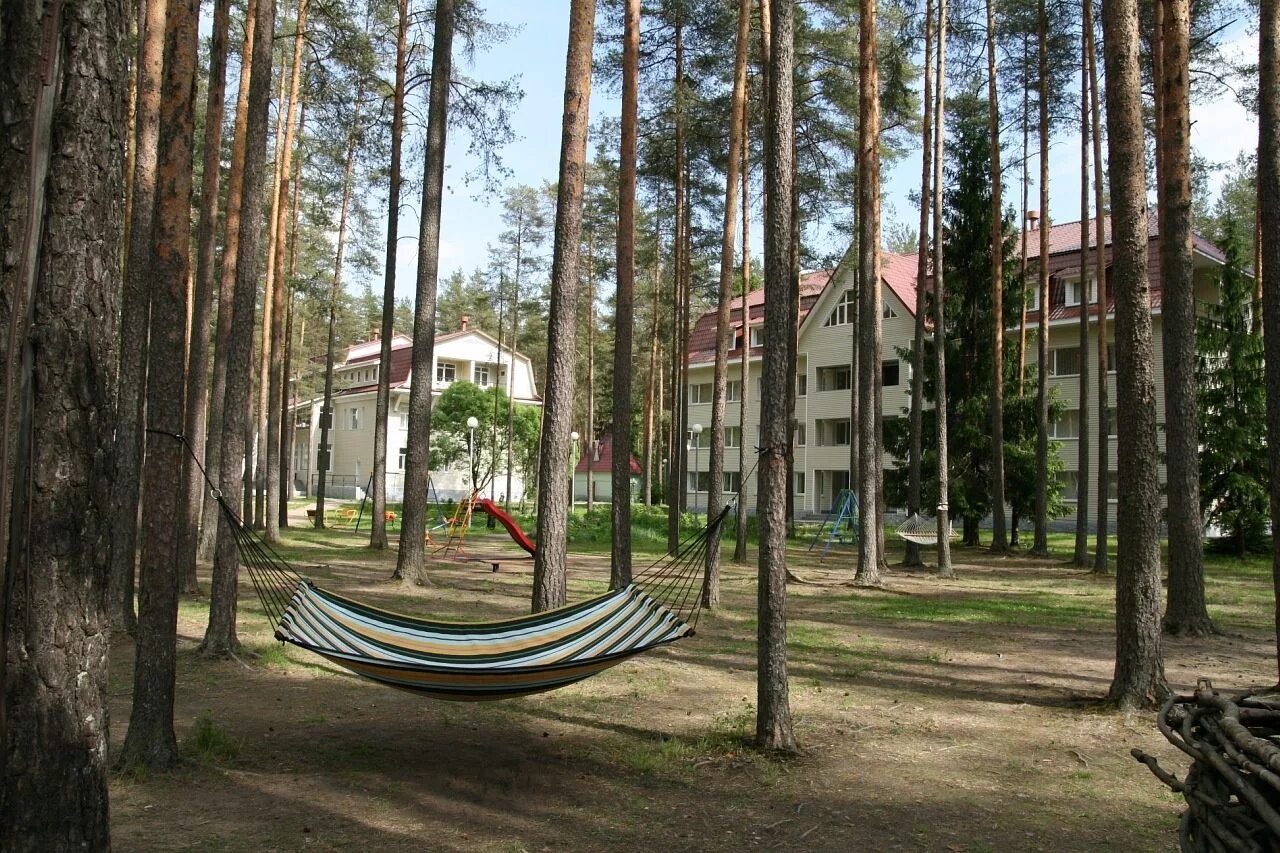 Загородные отели в ленинградской. Рощино Ленинградская область Райвола. Райвола загородный отель в Рощино. Райвола в поселке Рощино. Пансионат Райвола в Рощино.