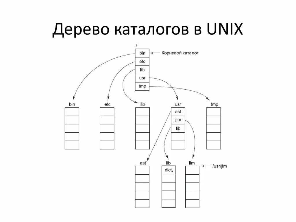 Структуры системы unix. Дерево каталогов. дерево unix. структура файловой системы unix. каталоги unix.