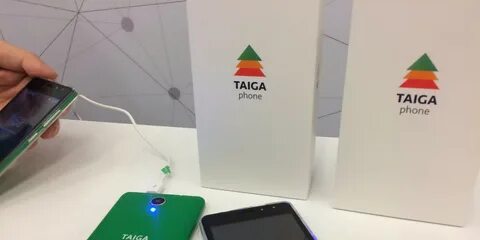 Телефон тайга
