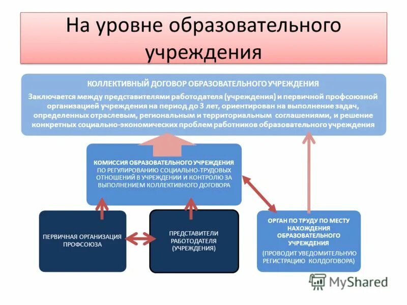 Договор образовательной организации