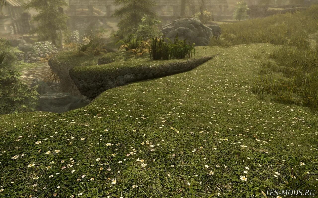 Нова текстуры. Кустарник ретекстур скайрим. Skyrim Mod ретекстур ландшафта. Скайрим мод на траву. Skyrim трава мод.