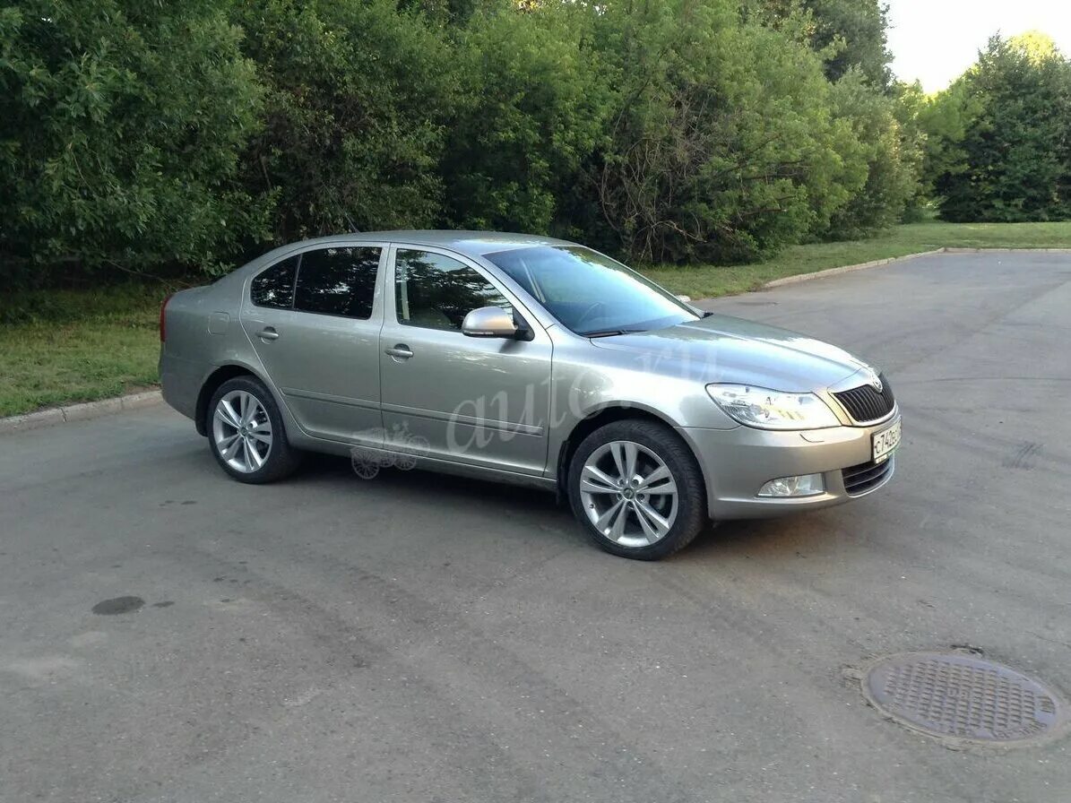 Шкода 2009 купить. Skoda Octavia сера.