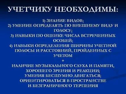 Учетчик