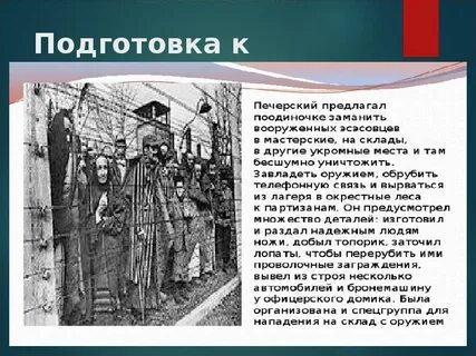 История вики