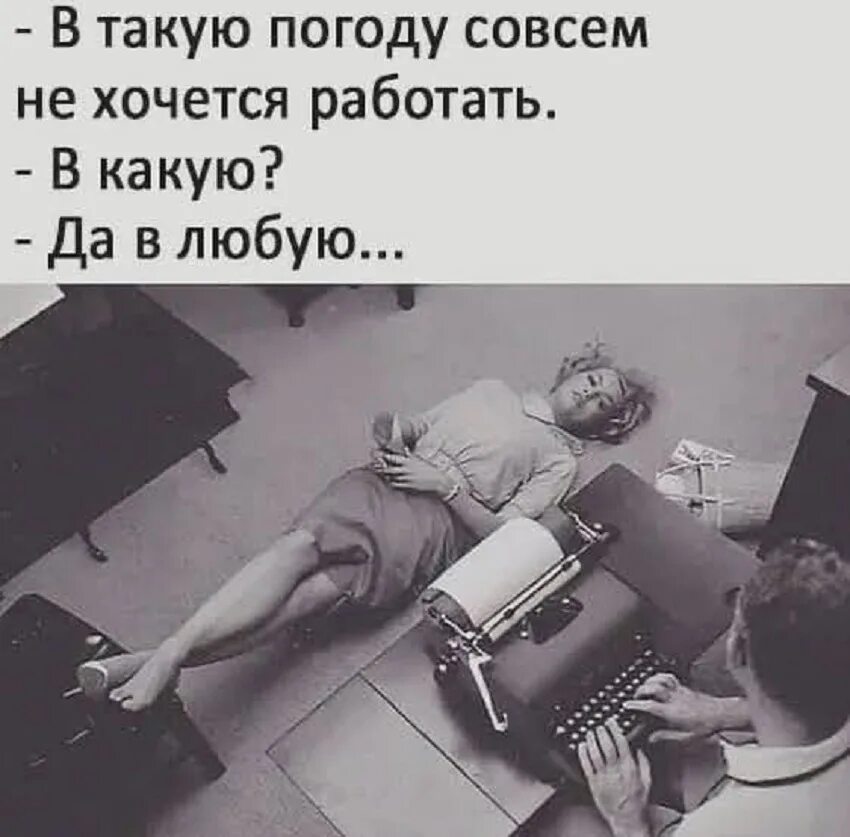 Хочешь ешь из моей руки хочешь пей. Юмор в фотографиях. Когда нехочетсч работать. Прикольные про работу. Не хочется работать.