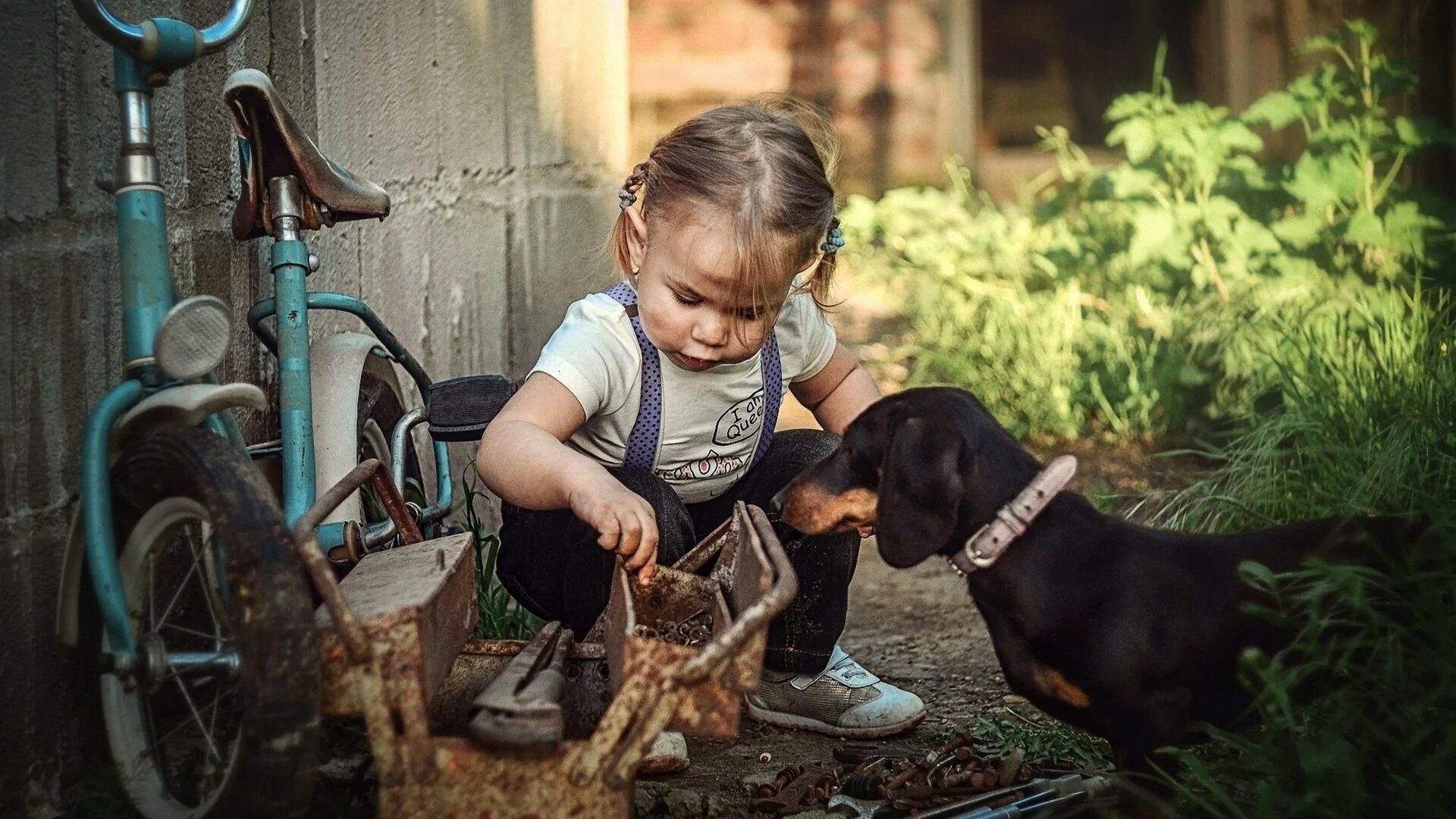 Для детей. Животные. Такса и ребенок. Такса девочка. Фотосессия ребенка с таксой.