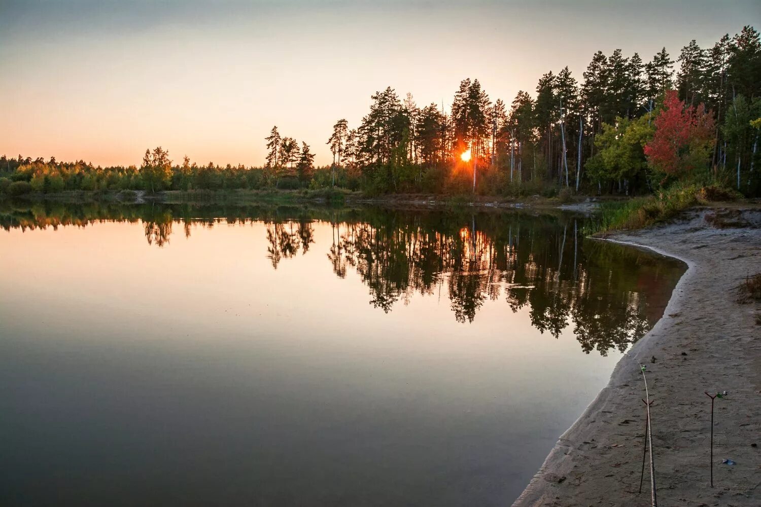 Тамбов природа. Пригородный лес Тамбов. Природа Тамбовской области. Тамбовский заповедник. Красивые тамбовские места