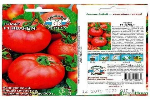 Томат семеновна отзывы
