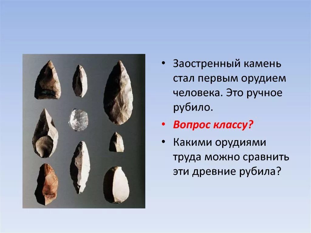 Значение слова рубило 5 класс