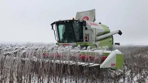 Уборка урожая зимой