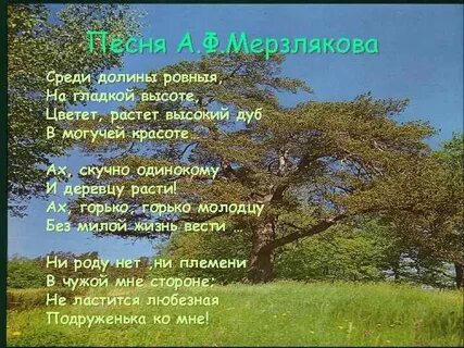 Стихи песни дерева