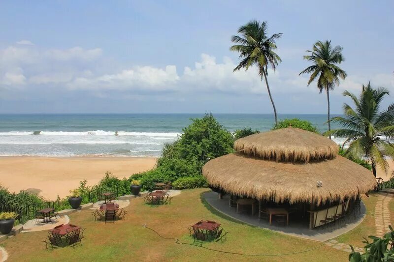 Cinnamon Bentota Beach Шри Ланка. Пляж Бентота Шри Ланка. Тадж Бентота Шри Ланка. Шри Ланка август Бентота.