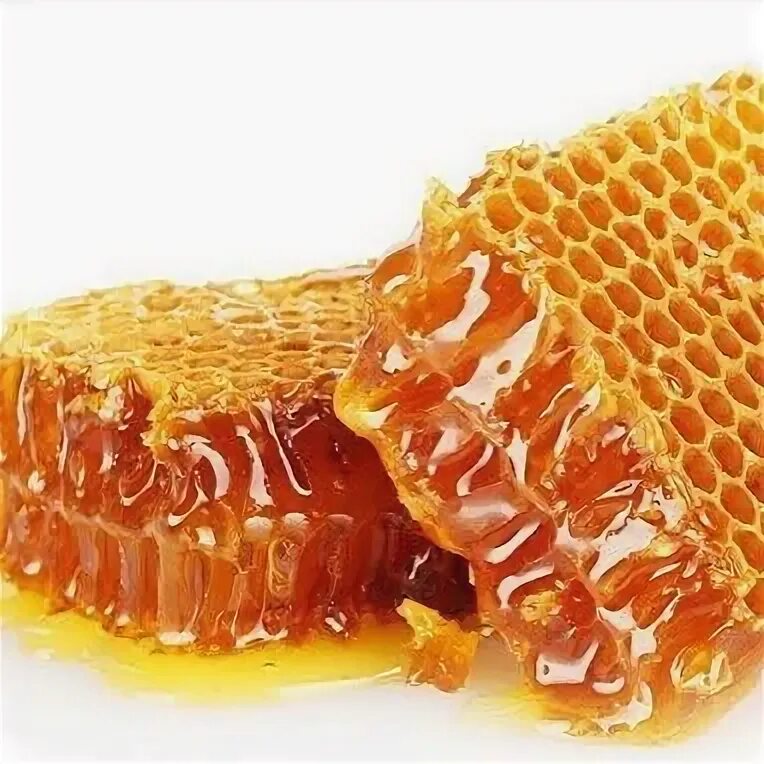 Мёд в сотах. Соты съедобные. Мёд в сотах съедобный. Мед в сотах кушать.