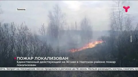Единственно действующий