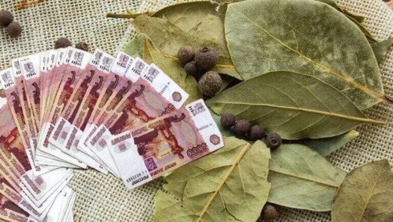 Как привлечь деньги в 2025 году. Денежный лавровый лист. привлечение денег. ритуал на привлечение денег. лавровый лист ритуал на деньги.