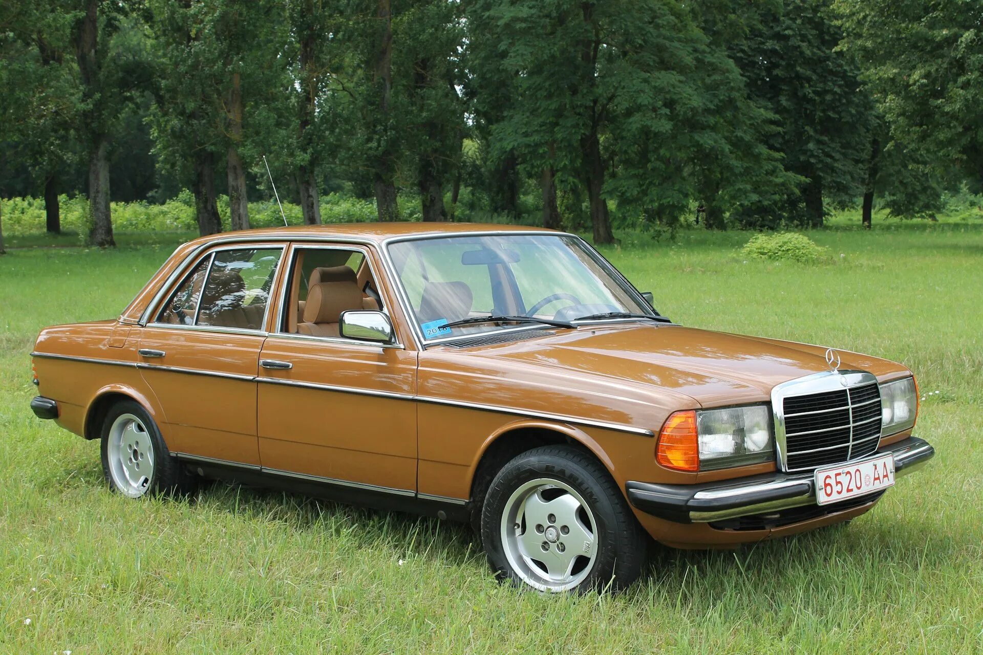 Купить старый мерседес. Mercedes-Benz w123. Мерседес Бенц w123. Мерседес 123 кузов. W(123) Mercedes-Benz w123.