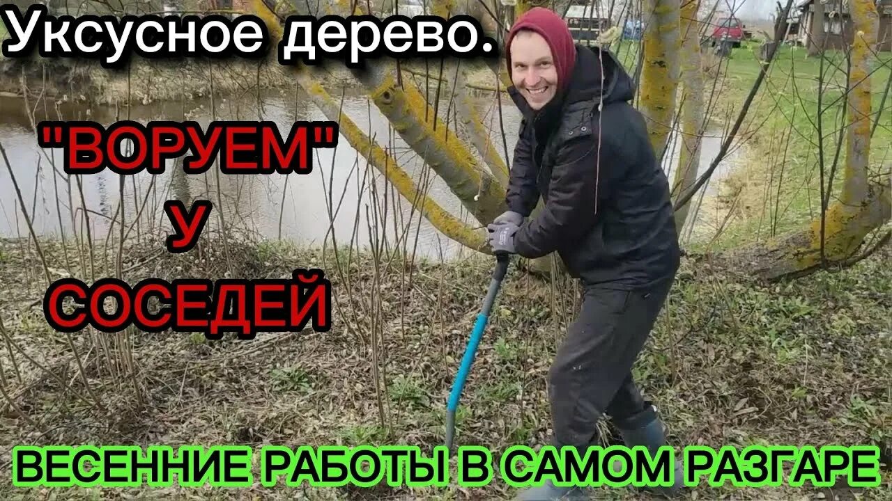 Весной повез рассаду.