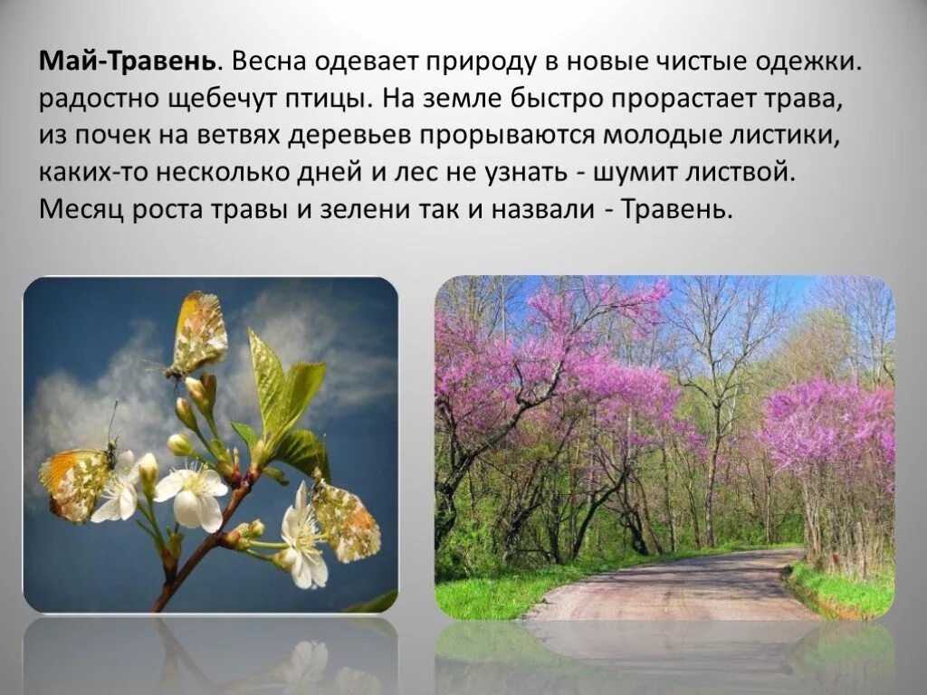 Название весенних месяцев связанных с живой природой. Описание весны. Презентация на тему ве.