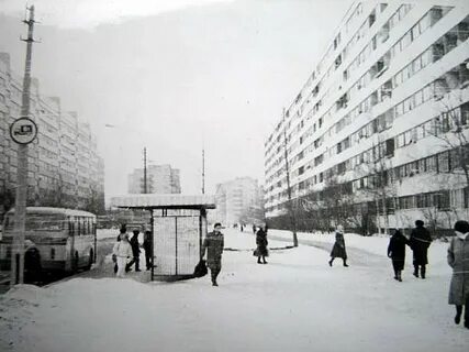 Сосновая поляна ленинский проспект