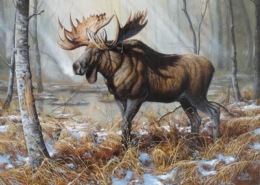 Картина лось в лесу. Художник roberto bianchi. лось с лосенком картины художников.