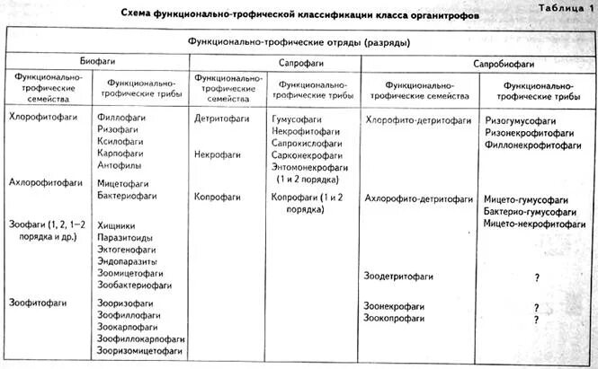 Раздел 7