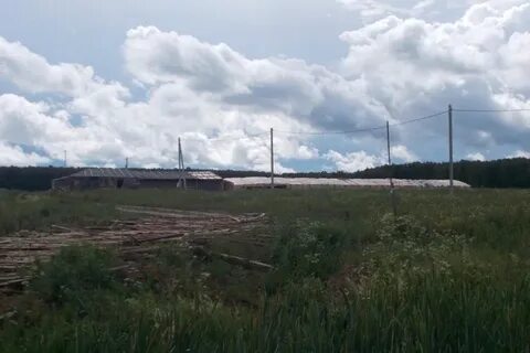 Сотка калуга